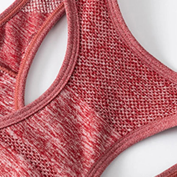 Yoga Set Gym Shorts Women Sport Bras
